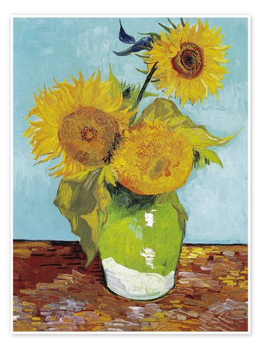 Poster drei sonnenblumen - poster,