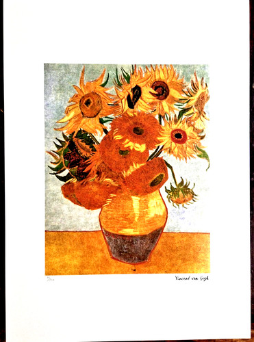 Vincent van gogh - vincent,